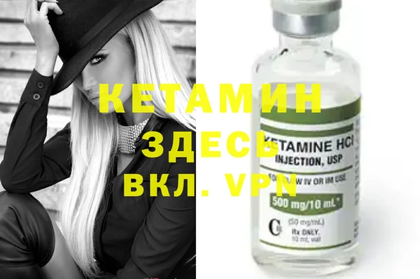 шишки Новозыбков