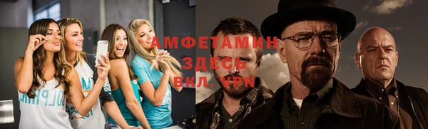 ПСИЛОЦИБИНОВЫЕ ГРИБЫ Няндома