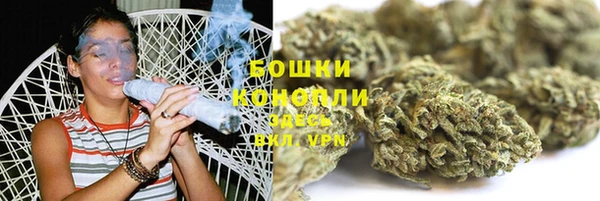 шишки Новокубанск