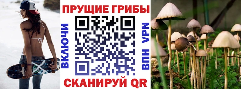 где купить наркотик  ОМГ ОМГ маркетплейс  Галлюциногенные грибы Cubensis  Рязань 
