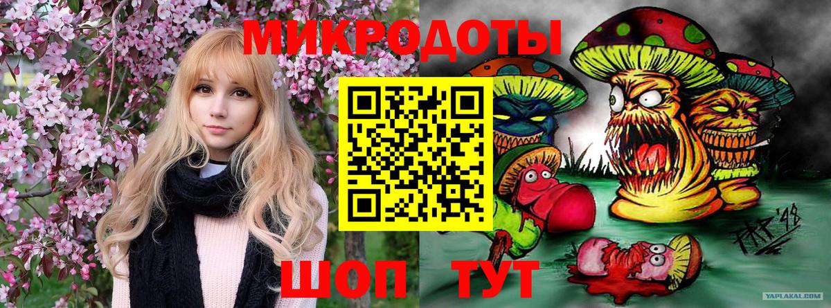 Галлюциногенные грибы Psilocybe Рязань