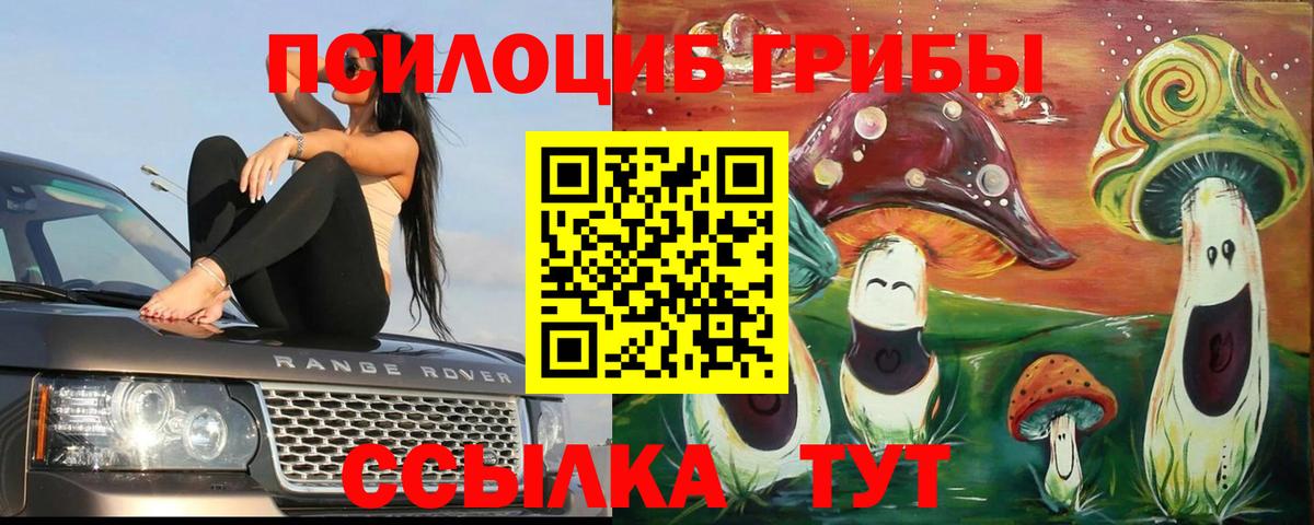 Рязань  Галлюциногенные грибы Magic Shrooms  Вход с VPN 