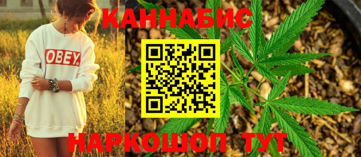 Каннабис OG Kush  Вход с VPN  МАРИХУАНА семена  Канабис ГИДРОПОН  Рязань 